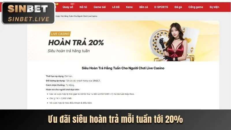 Cách tận dụng tối đa lợi ích từ Betvision Code